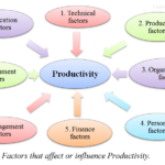 Eight Important Factors that Affect Productivity